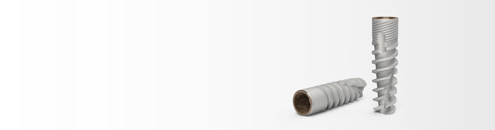 xp-banner-1